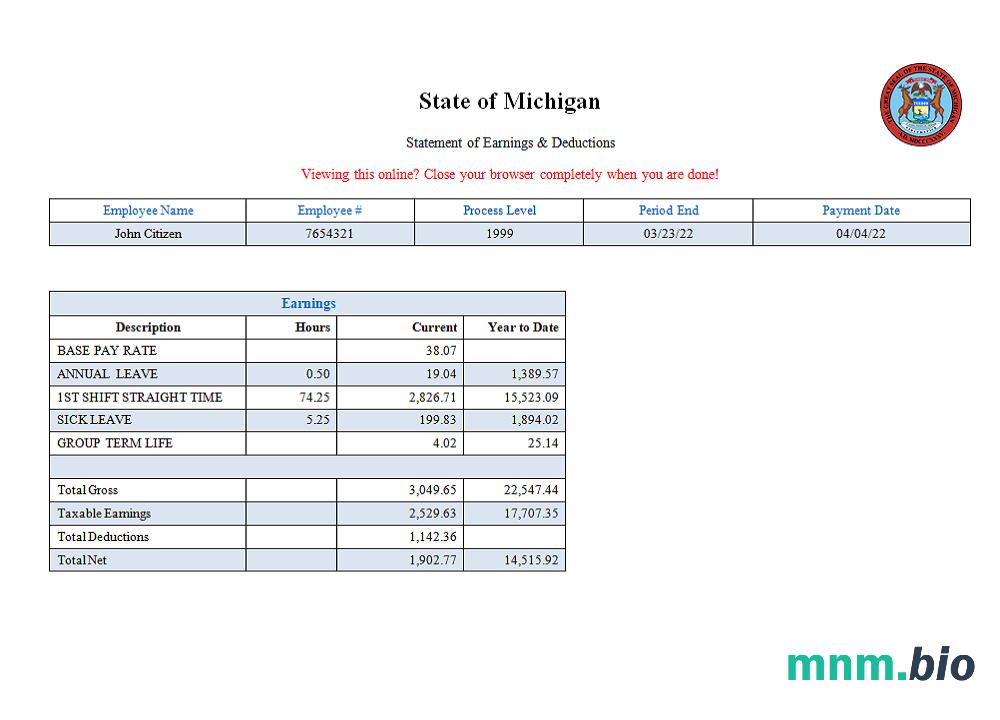 USA State of Michigan social services company pay stub